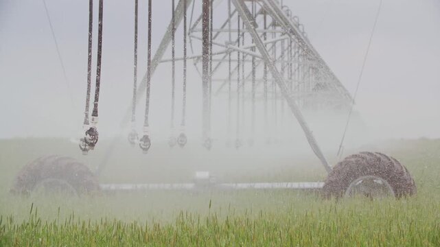 Mechanical sprinklers of center pivot system watering green crop field