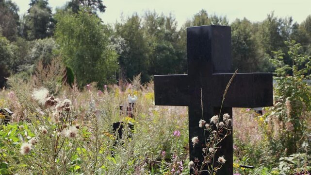 Black granite cross gravestone in wildflowers, peaceful cemetery memorial. Vertical