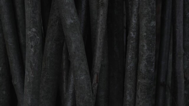 Close Up Dry Reed Stalks Texture Abstract Organic Vertical Background for Natural Design Rustic Elements