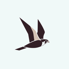 Fototapeta premium Majestic Falcon in Flight with Wings Spread Wide.