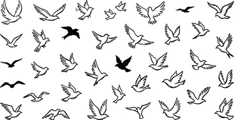 Flying bird silhouettes and outline doves collection, wings spread pigeon seagull swallow flight wildlife animal icons vector illustration isolated on transparent background © Kateryna