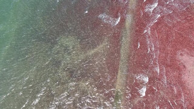 Aerial view of shallow coastal water with red algae and rocks and green sea textures