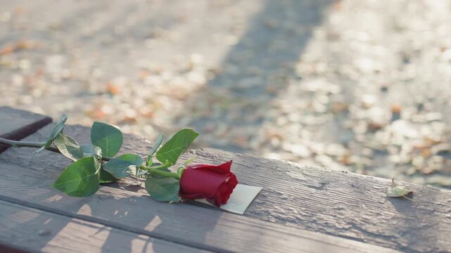 Single note beneath red rose on wooden seat. Quiet scene of farewell with scattered leaves and soft sunlight. Lonely note hidden under red rose on wooden bench amidst autumn leaves