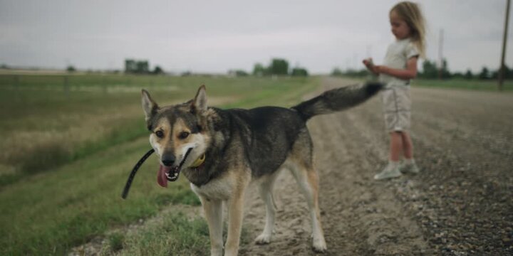 Young boy standing with a German Shepherd on a country road