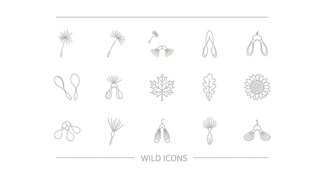 Hand-drawn Wild Icons: Dandelion Seeds, Maple Seeds, Oak Leaf, Sunflower