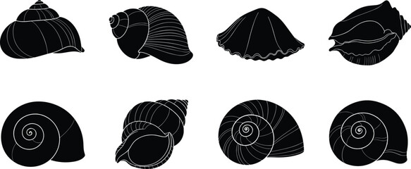 Sea snail shell silhouette set. Marine mollusk collection with spiral and conch shell shapes. Black ocean elements for coastal design, underwater themes and nature illustration. © Olivia