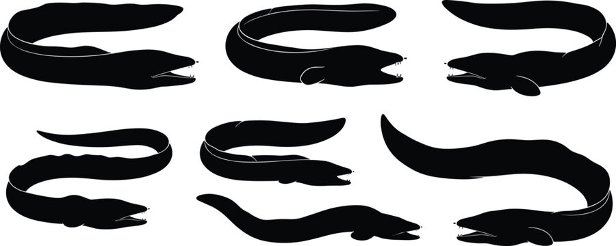 Gulper eel silhouette set. Deep sea eel collection with curved bodies and dynamic poses. Black marine life vectors for ocean wildlife, aquarium and underwater design.