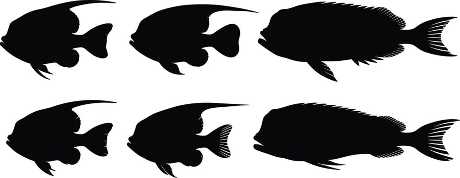 Lanternfish silhouette vector set. Deep sea fish collection with detailed fins and body shapes. Black marine life illustrations for ocean wildlife, aquarium and underwater design.