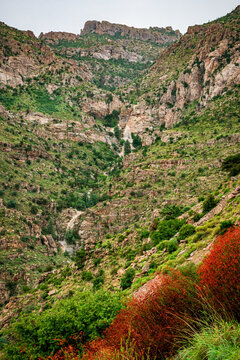 Summer monsoon rain tumbles down a deep canyon in the Santa Catalina mountains near Tucson Arizona