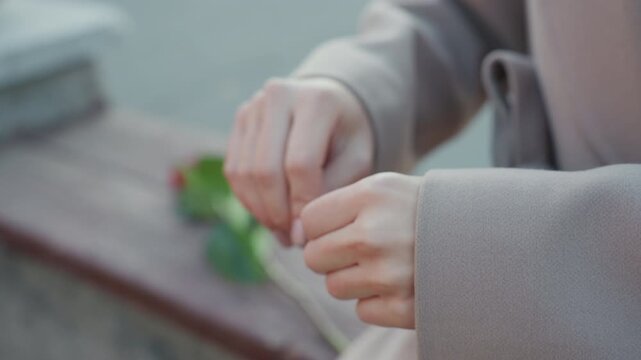 Closeup hands tearing note beside rose on bench, coat sleeve framing delicate fingers blurred red rose in background, slow hesitant tearing, intimate release ritual, emotional park moment, quiet