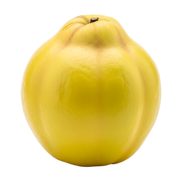 Fresh yellow quince fruit on white background transparent background