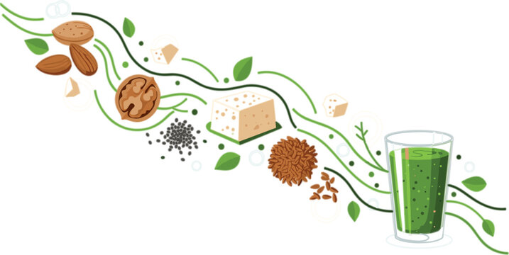 Plant based nutrition flow vector with nuts, seeds, tofu and green smoothie, healthy vegan ingredients process illustration in modern flat style