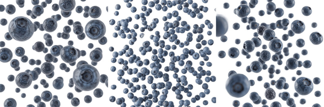 Dried Blueberries Flying (Vaccinium corymbosum) - Bleuets s&eacute;ch&eacute;s, Ar&aacute;ndanos deshidratados. High-antioxidant superfood berry snack explosion. Healthy dehydrated fruit pieces scattering dynamic.