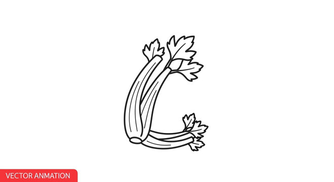 Outline drawing of fresh celery forming a decorative C shape perfect for healthy food concepts