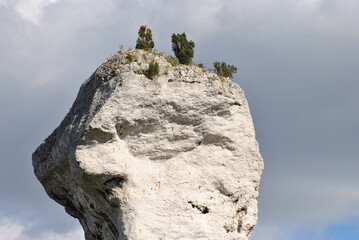 Jura krakowsko-częstochowska 