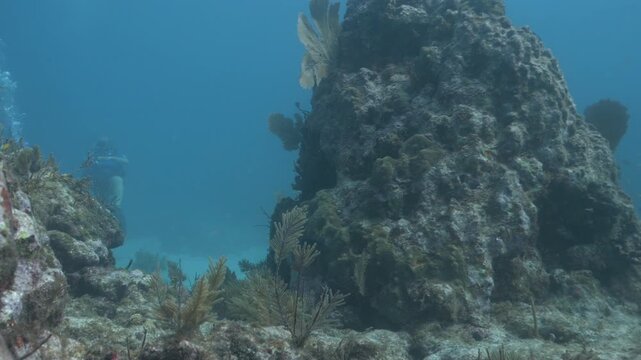 Scuba diver swimming towards a pinnacle coral reef