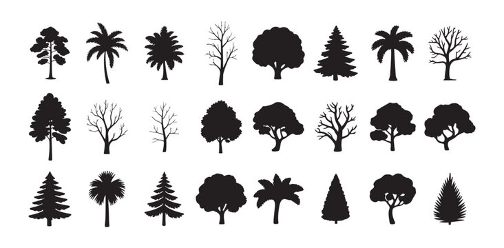 Set of black trees silhouettes. Tree vector collection, for forest and park landscape designs