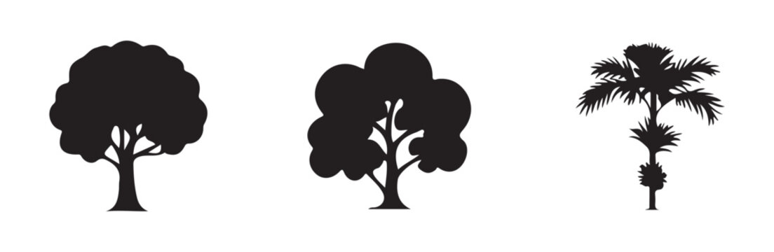 Two large round deciduous tree silhouettes and one tall slender palm tree icon against white