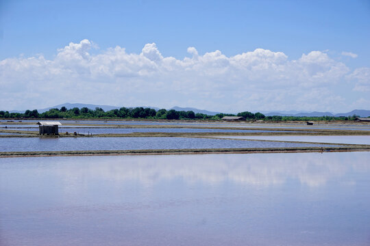 salt farm