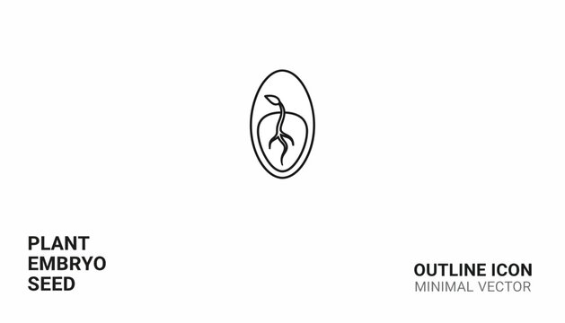 Plant embryo seed outline icon, minimal vector illustration of germination and new life