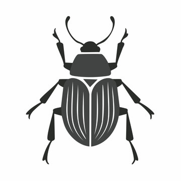 Black beetle silhouette vector illustration isolated on white background for nature and entomology graphic design