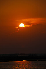 Obraz premium golden light of the sun