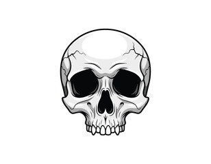 Obraz premium A realistic illustration of a human skull, depicted from the front view, with a stark white background, perfect for design projects