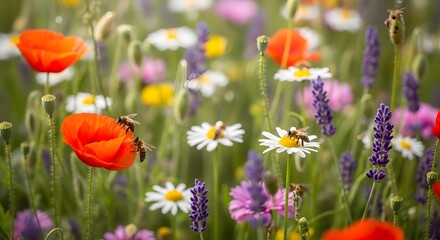 Fototapeta premium Nature Photography Capture of Spring Beauty