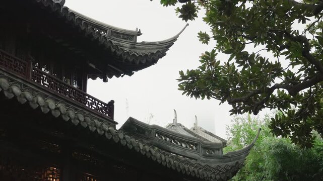 Ancient temple roof eaves framed by leafy canopy, dark timber and curved tilework overcast light and damp atmosphere create calm, reflective mood ideal for architecture, heritage, restoration, travel,
