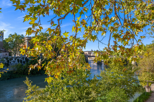 City of Rome with Tiber River with Fall Colors