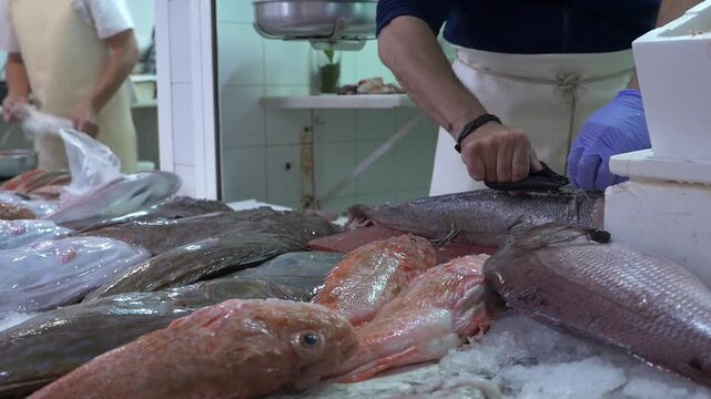 Close-up of a professional fishmonger using scissors to clean fresh Mediterranean fish at the traditional Central Market in Melilla, Spain. Variety of seafood on ice display.
