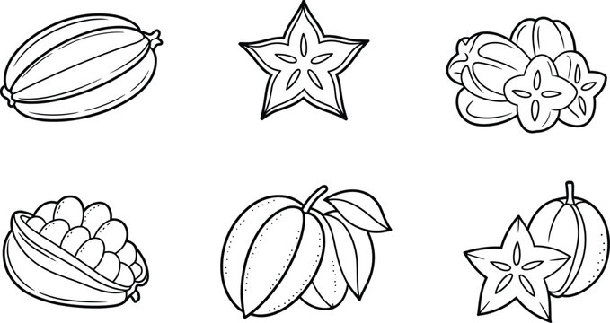 Starfruit carambola sketch set, tropical fruit illustration, hand drawn exotic food collection, vintage engraving style, fresh organic produce, monochrome vector design