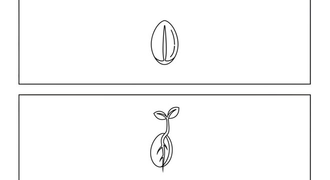 Seed Germination: From Seed to Sprout with Roots and Leaves