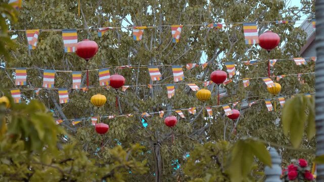 Garlands with Buddhist flags and colorful red and yellow Vietnamese lanterns flatter on the wind against the background of a massive Bodhi Tree