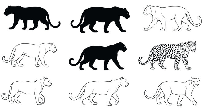 Panther Silhouette and Outline Collection: Black and White Big Cat Poses