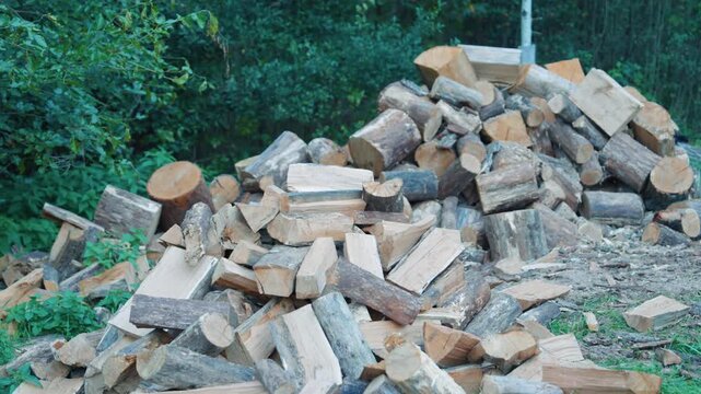 Large Pile of Freshly Chopped Firewood in Forest | Stack of Split Wooden Logs for Winter Heating | Timber Harvesting and Forestry Industry Concept