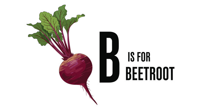 Vibrant illustration of a fresh beetroot with green leaves positioned next to the educational text B is for beetroot on a white background.
