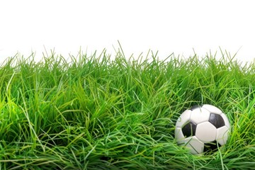Fototapeta premium Football on green grass soccer sports plant.