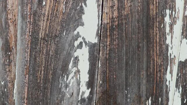 Wall surface materials, construction work.
