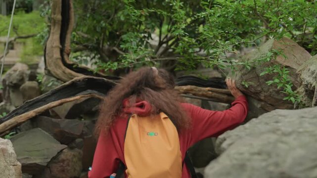 Black woman exploring rocky garden crevice, student pausing to scan ancient roots overhead, urban explorer adjusting glasses and orange backpack, climber gingerly squeezing through narrow stone