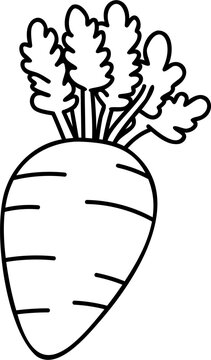 Simple root vegetable