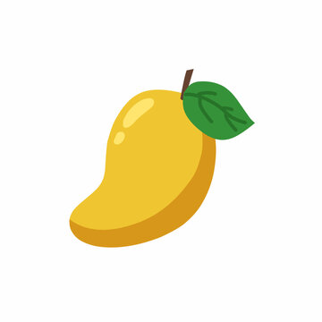 Vector illustration of yellow manggo for sticker for your desain for your illustration 