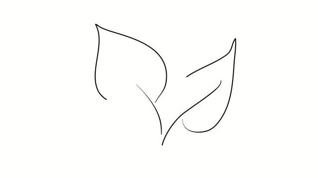 Plant, ecology, leaves. Contour drawing, silhouett animation. Continuous line. Isolated on white. Video 4k object illustration self-drawing. Object construction. Minimalist continuous line drawing sil