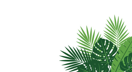 A vibrant collection of lush green tropical leaves, including monstera and palm fronds, artfully arranged in a corner, evoking a sense of nature's beauty and abundant growth © The blitz