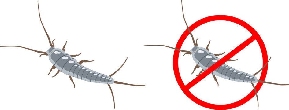 Set of Silverfish Icon Vector Household Pest Insect