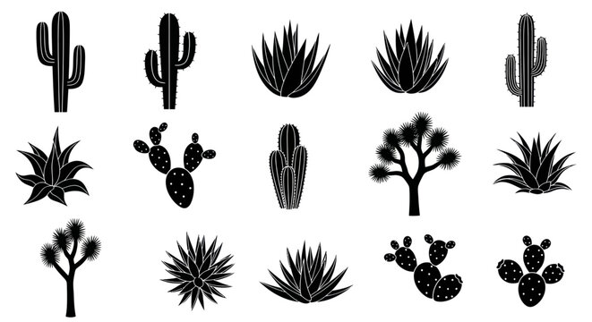 Desert Plants Silhouette Collection: Cactus, Aloe Vera, Joshua Tree Icons
