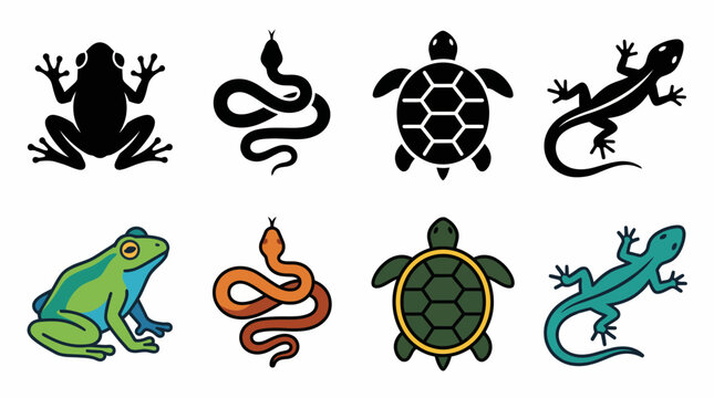 Collection of Reptile and Amphibian Icons Frog, Snake, Turtle, and Lizard Silhouettes and Illustrations