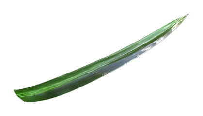 Fototapeta premium Grass Blade Isolated on White Background - Fresh Greenery