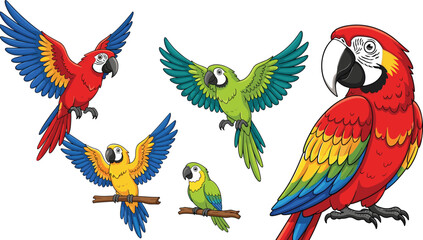 Obraz premium Colorful Parrot Vector Collection with Scarlet Macaw, Blue-and-Yellow Macaw, and Green Parrot Illustrations, Flying and Perched Poses, Tropical Exotic Birds for Digital and Educational Designs