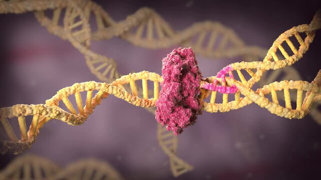 Mismatch gene repair, gene replication error, genetics. Gene chain mutations lead to tumor cell proliferation and mutated DNA and molecular science biotechnology. Tumor Immunotherapy 3D animation.
